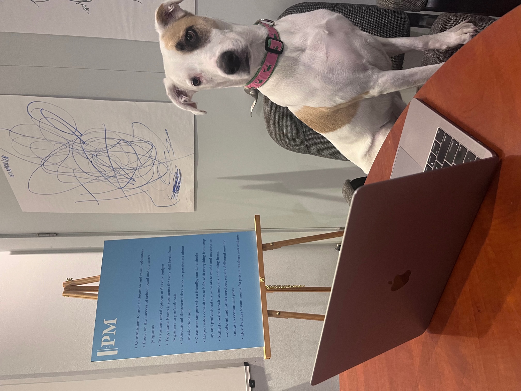 Maggie at work