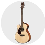 Acoustic-Electric Guitars