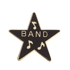 Aim Gifts AIM96 Band Star Pin