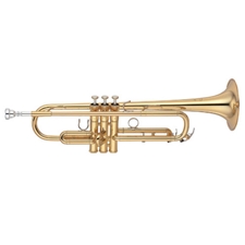 Lotus trumpet clearance price