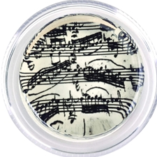 Magic Rosin SBM-3GM Bach Manuscript 3G Rosin