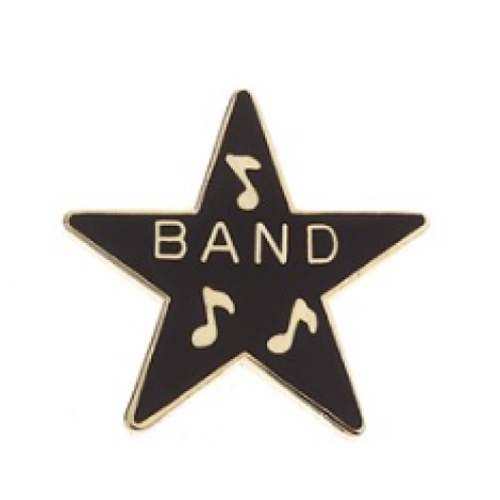 Aim Gifts AIM96 Band Star Pin