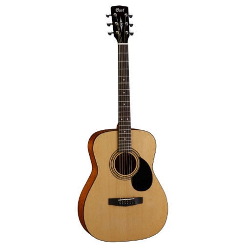 cort parlour guitar